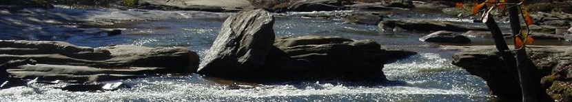 Shoals