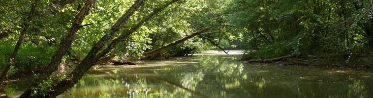 River